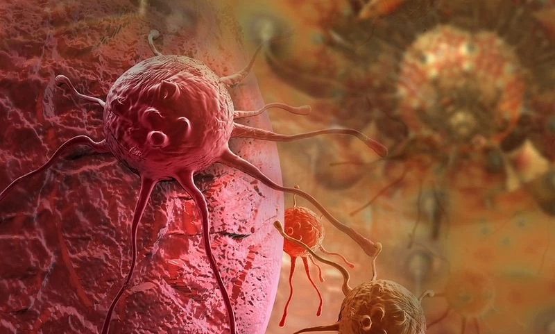 Ανακάλυψη «σταθμός» στη μάχη εναντίον του καρκίνου: Χημικό όπλο δρα όπως ο Δούρειος Ίππος στα καρκινικά κύτταρα